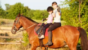 The Ten Commandments of Being a Horse Owner-Equanine-London