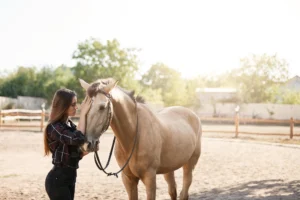 The Ten Commandments of Being a Horse Owner-Equanine-London