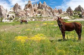 Horse-Riding-Destinations-Best-Places-to-Ride-Horses-Around-the-World