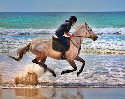 Horse-Riding-Destinations-Best-Places-to-Ride-Horses-Around-the-World