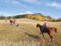 Horse-Riding-Etiquette-Rules-and-Guidelines-for-Sharing-Riding-Trails