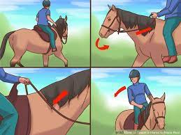 Horse-Riding-Etiquette-Rules-and-Guidelines-for-Sharing-Riding-Trailss