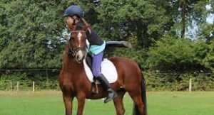 Horse-Riding-Safety-Common-Risks-and-How-to-Minimize-Them