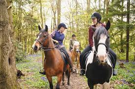 Horse-Riding-Safety-Common-Risks-and-How-to-Minimize-Thems