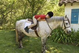 Top-10-Horse-Breeds-for-Kids-Which-Breed-is-Right-for-Your-Child