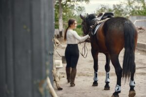 Asian Equine Extravagance: Discovering Leading Horse Shows Across Asia