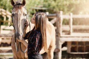 Oceanias-Outstanding-Equines_Best-Horse-Shows-in-Australia-and-New-Zealand