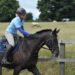 The Ten Commandments of Being a Horse Owner