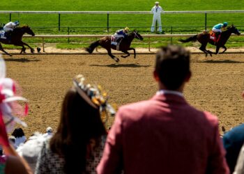 When-Attending-a-Derby-equanine