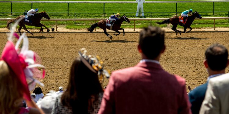 When-Attending-a-Derby-equanine