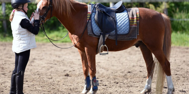 How To Buy Horse Equipment: The A-Z Guide to Equine Gear