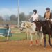 Top 5 Horse Riding Clubs in India