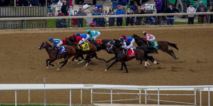 The Best and Worst Ways to Watch a Horse Derby