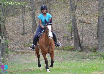 Horse Care and Safety Tips: A Guide For Horse Owners