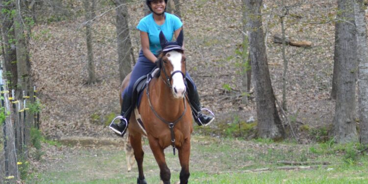 Horse Care and Safety Tips: A Guide For Horse Owners