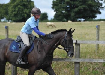 9 Things You Should Know Before You Buy A Horse