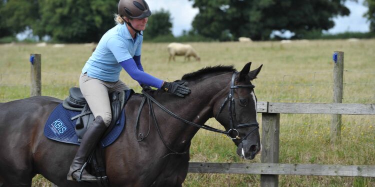 9 Things You Should Know Before You Buy A Horse