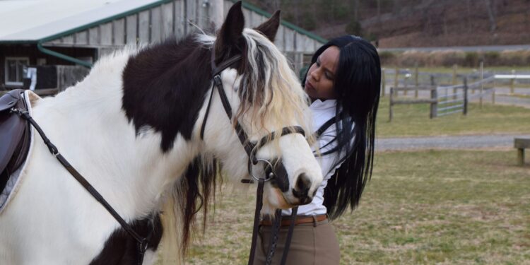 A Guide to Buying the Best Horse Gear: 7 Horse Equipment