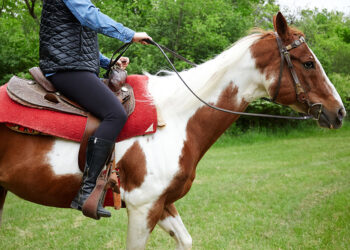 Source: Google Images