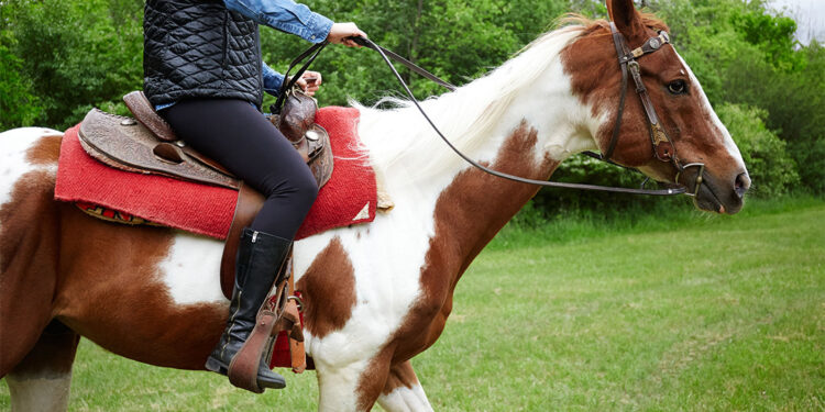 Source: Google Images