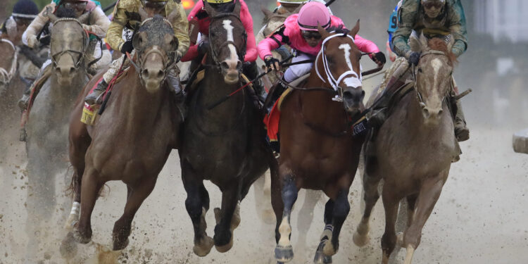 Best 7 Things People love about the Kentucky Derby