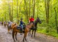 Horse-Riding-Etiquette-Rules-and-Guidelines-for-Sharing-Riding-Trail