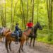 Horse-Riding-Etiquette-Rules-and-Guidelines-for-Sharing-Riding-Trail