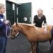 The-Role-of-Horse-Riding-in-Therapeutic-Treatments-for-Various-Conditions