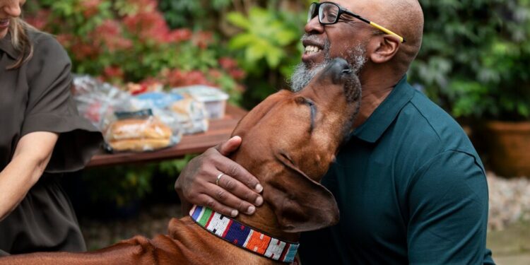 African-Canine-Spectacles-Discovering-the-Top-Dog-Shows-on-the-Continent