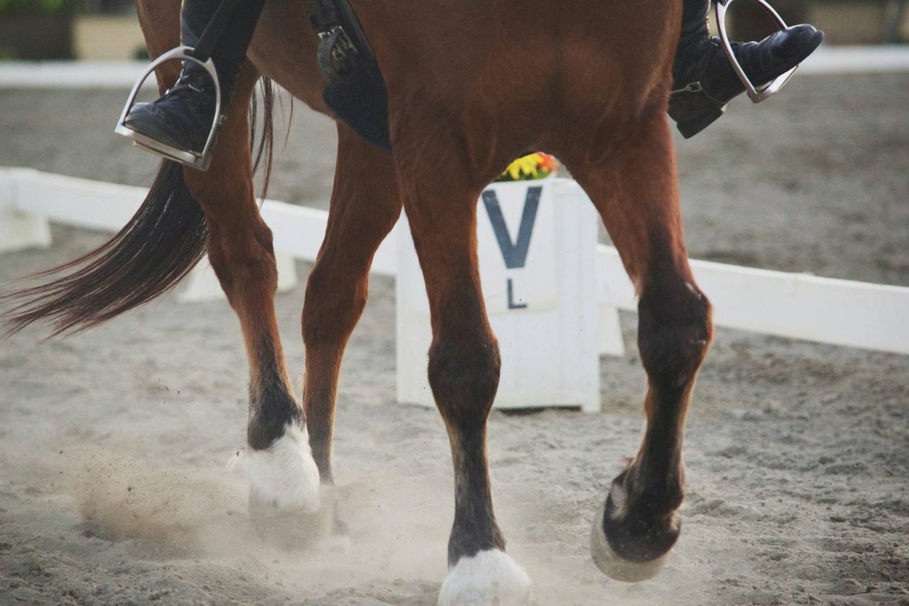 Close view of a chestnut horse's legs and the rider's boots passing a letter marker in a sand arena