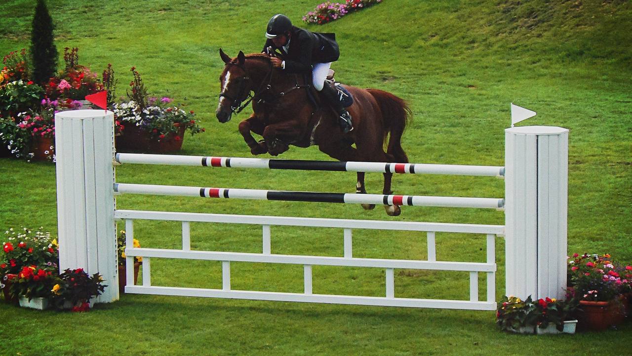 A horse and rider clearing a white show jumping fence on a grass arena edged with flower tubs