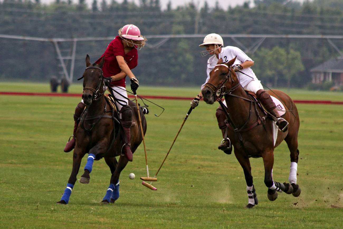 Mounted polo players competing on a grass field