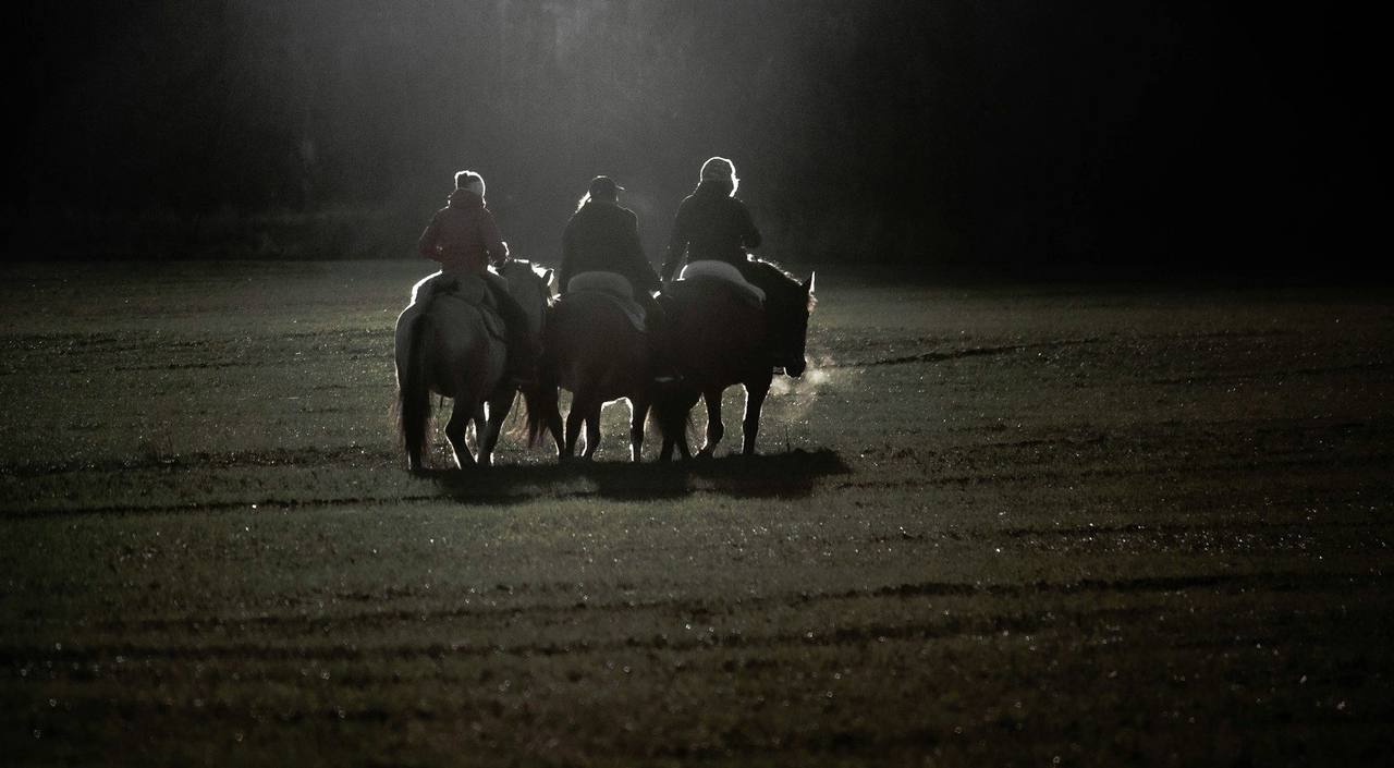 Three horses and riders on a dark sand track lit by a floodlight at night
