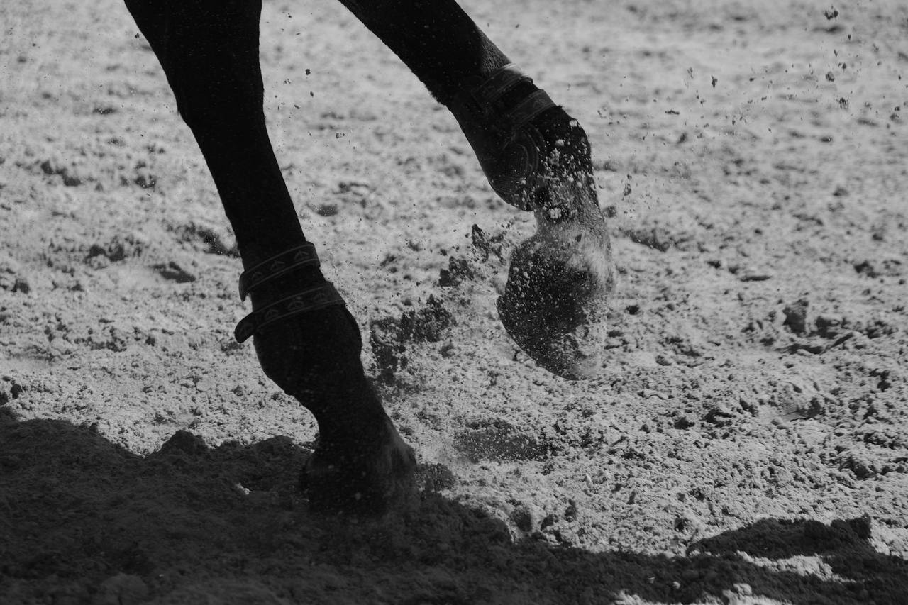 Close view in black and white of a horse's hooves kicking up sand on a track