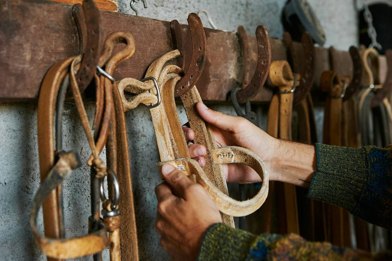 Hands working with leather bridles and straps hanging from hooks on a tack room wall