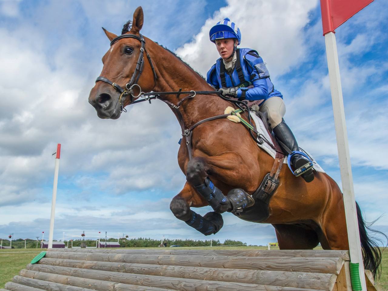 A rider in blue silks and a bay horse jumping a log cross-country fence under a cloudy sky